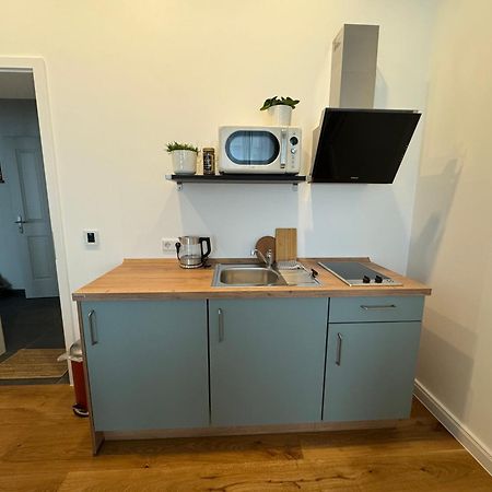 Boutique Hotel Pension Luisengruen Kueche 1Gbs Wlan Netflix Disney Magentatv 켐니츠 외부 사진