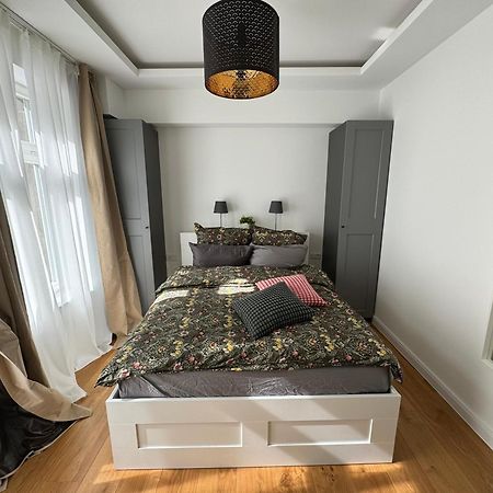 Boutique Hotel Pension Luisengruen Kueche 1Gbs Wlan Netflix Disney Magentatv 켐니츠 외부 사진