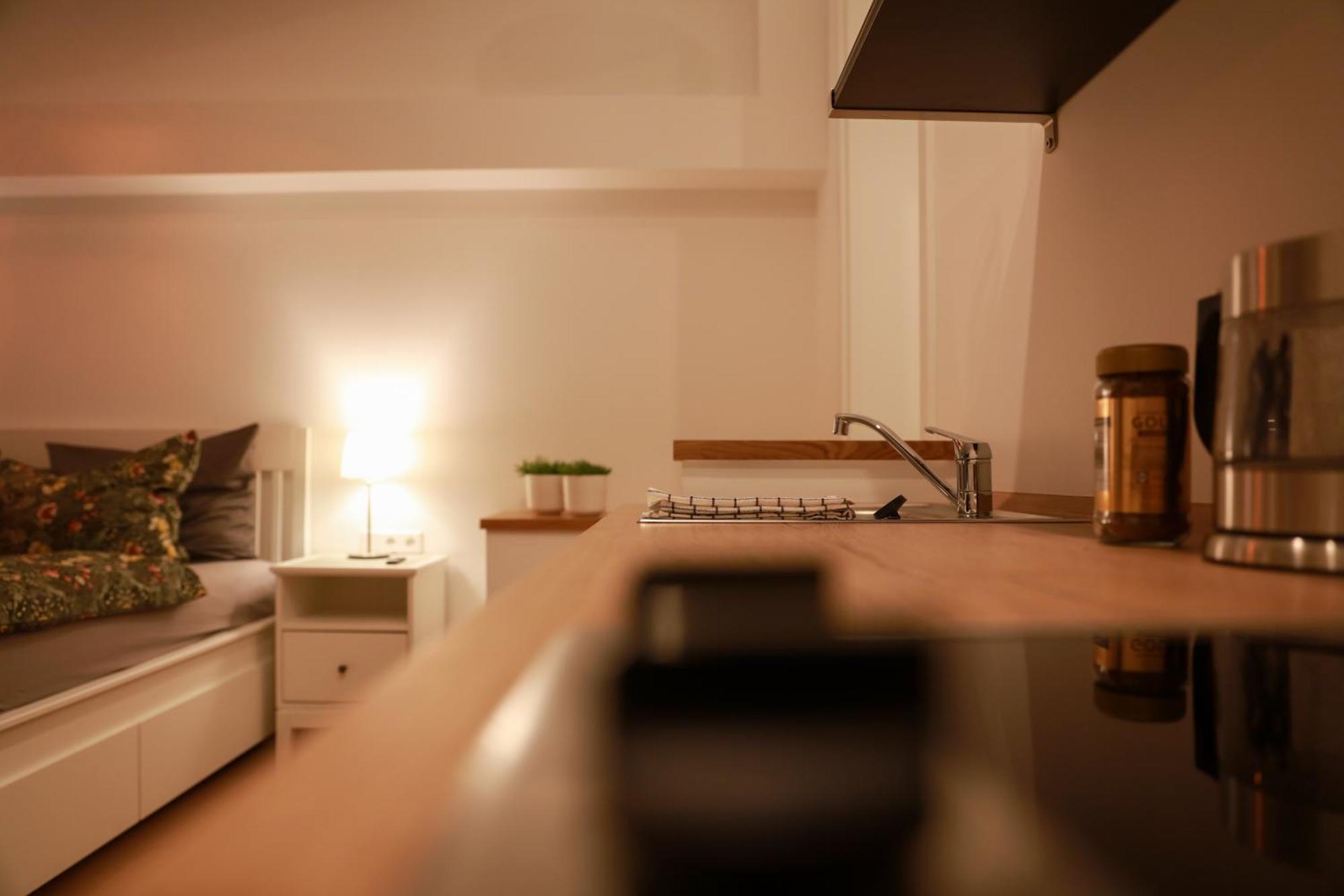 Boutique Hotel Pension Luisengruen Kueche 1Gbs Wlan Netflix Disney Magentatv 켐니츠 외부 사진