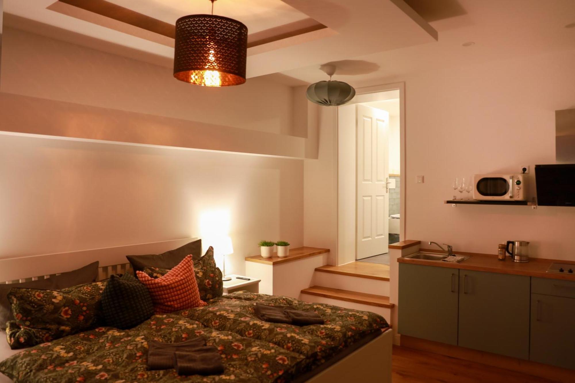 Boutique Hotel Pension Luisengruen Kueche 1Gbs Wlan Netflix Disney Magentatv 켐니츠 외부 사진