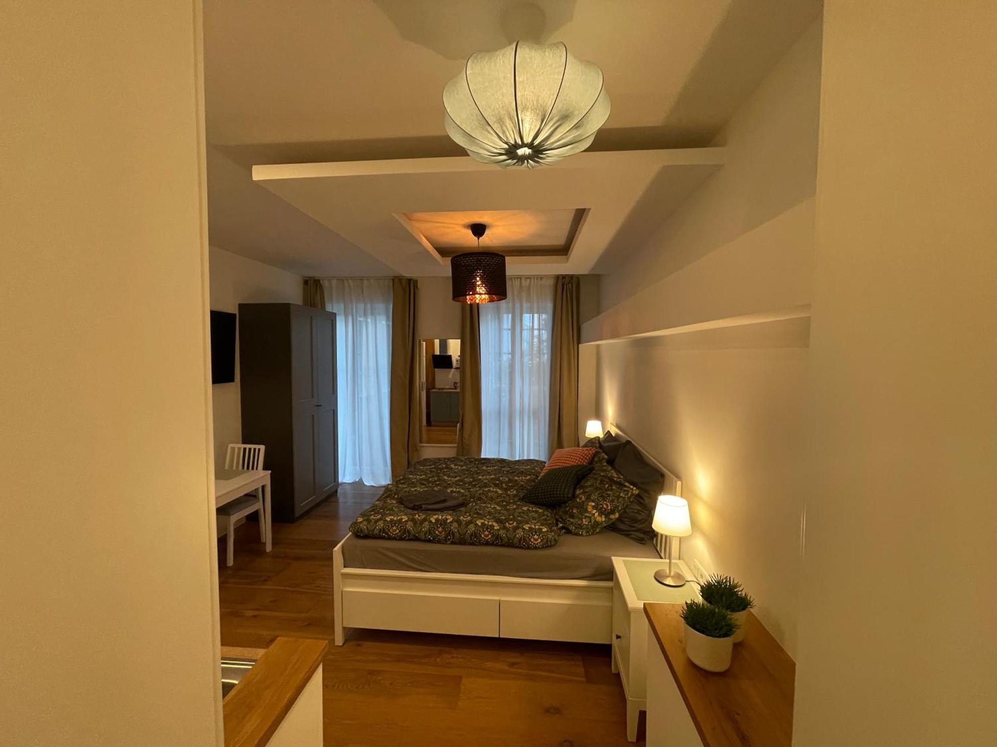 Boutique Hotel Pension Luisengruen Kueche 1Gbs Wlan Netflix Disney Magentatv 켐니츠 외부 사진