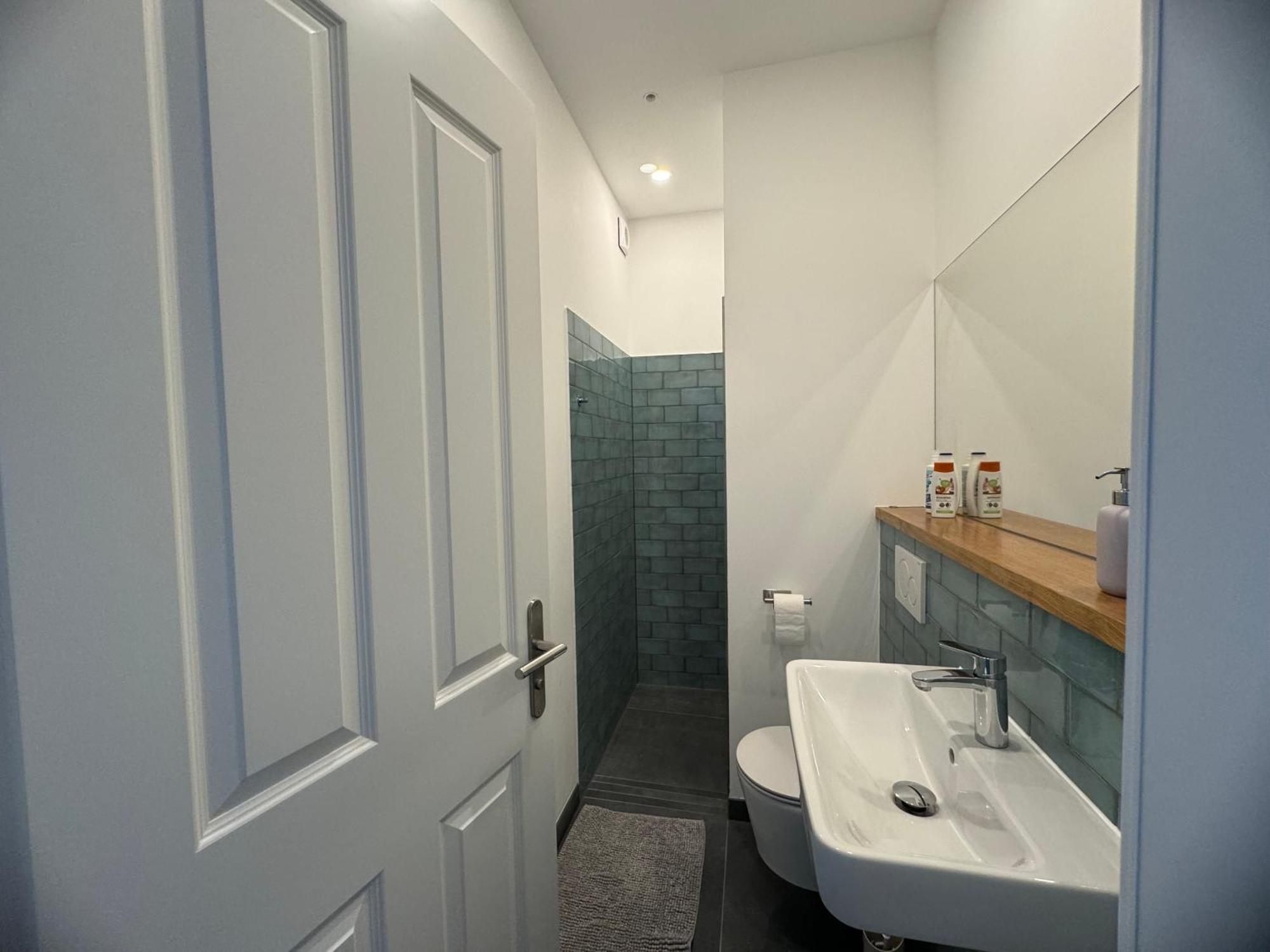 Boutique Hotel Pension Luisengruen Kueche 1Gbs Wlan Netflix Disney Magentatv 켐니츠 외부 사진