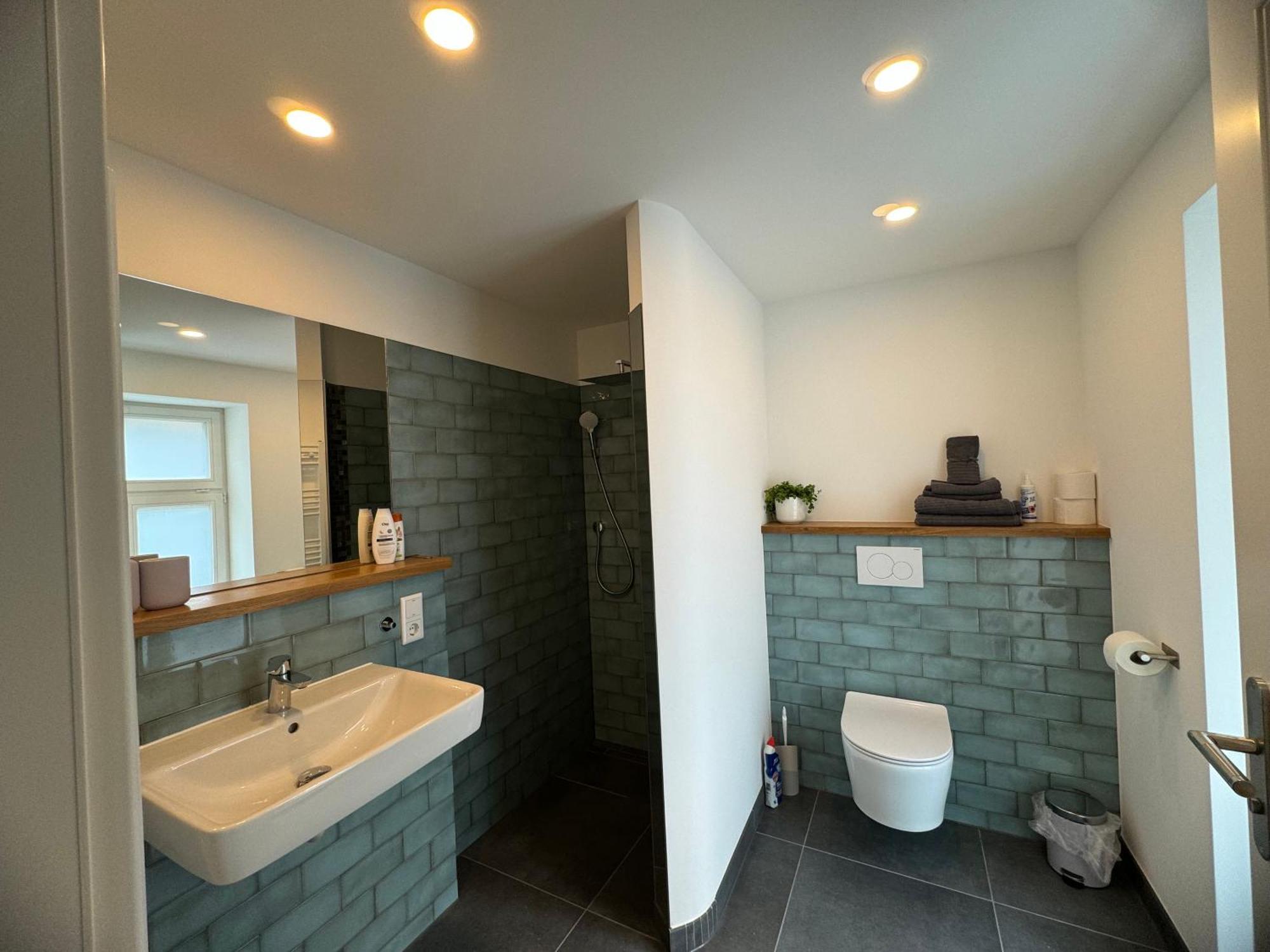 Boutique Hotel Pension Luisengruen Kueche 1Gbs Wlan Netflix Disney Magentatv 켐니츠 외부 사진