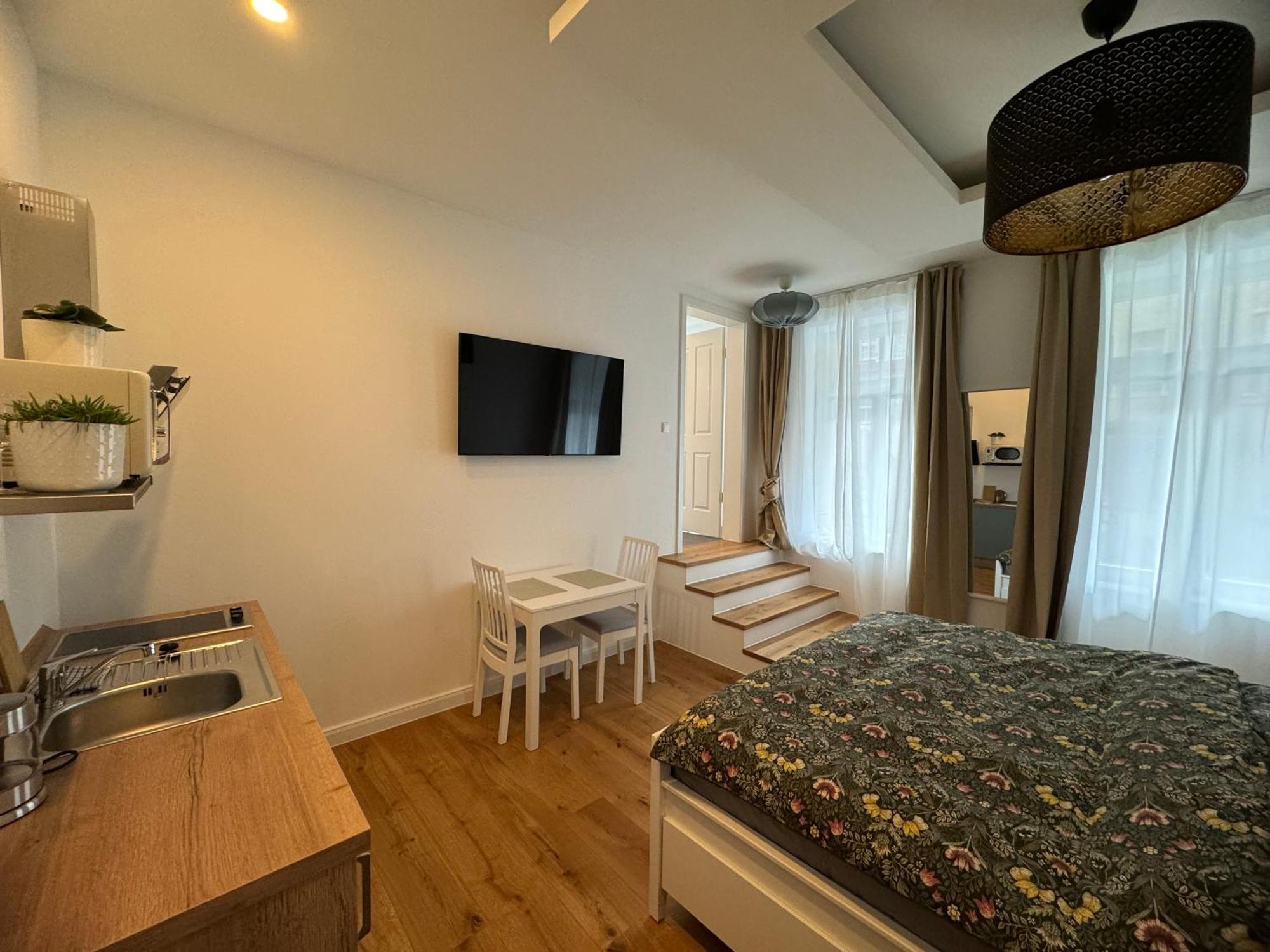 Boutique Hotel Pension Luisengruen Kueche 1Gbs Wlan Netflix Disney Magentatv 켐니츠 외부 사진